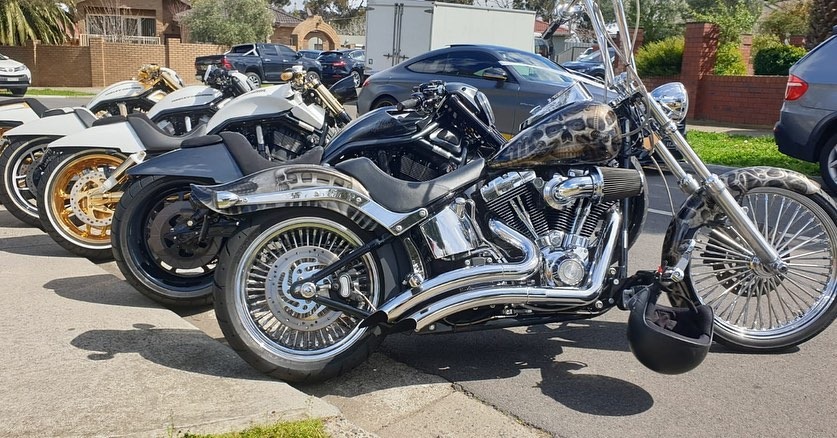 Chrome-detailed Harleys parked in a row on a sunny street