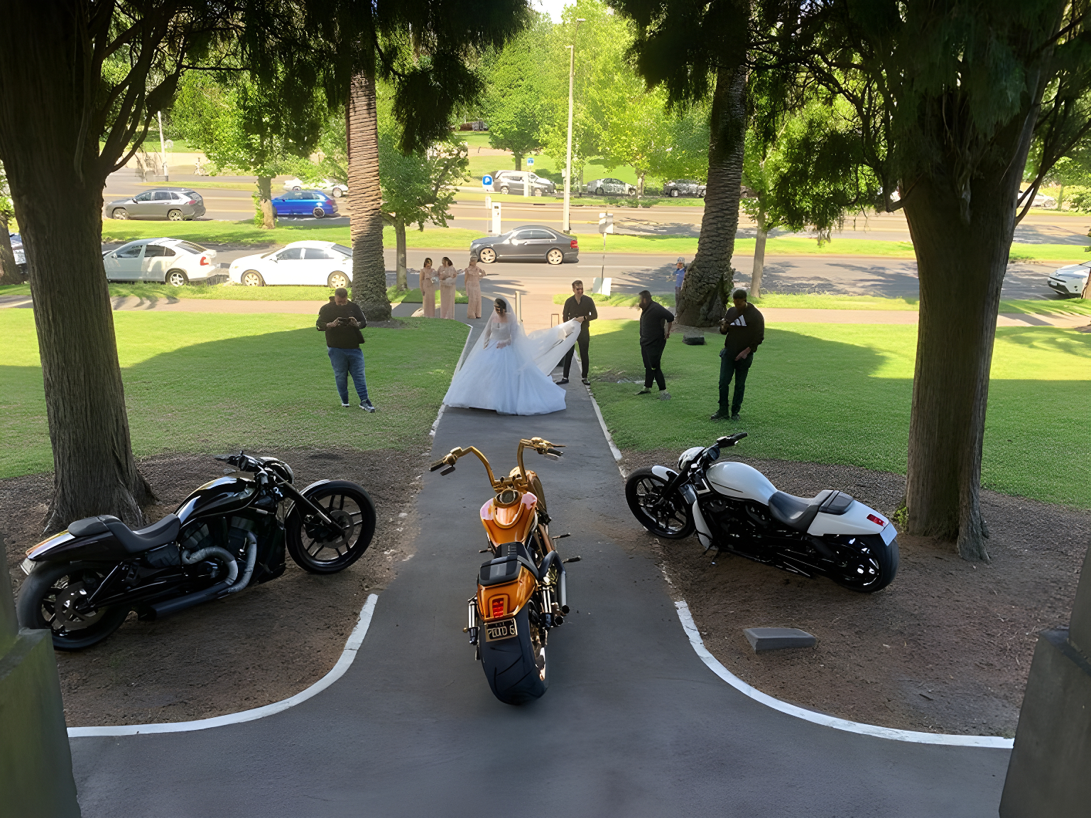 Three Harleys, one orange, parked on a park path with a wedding couple behind