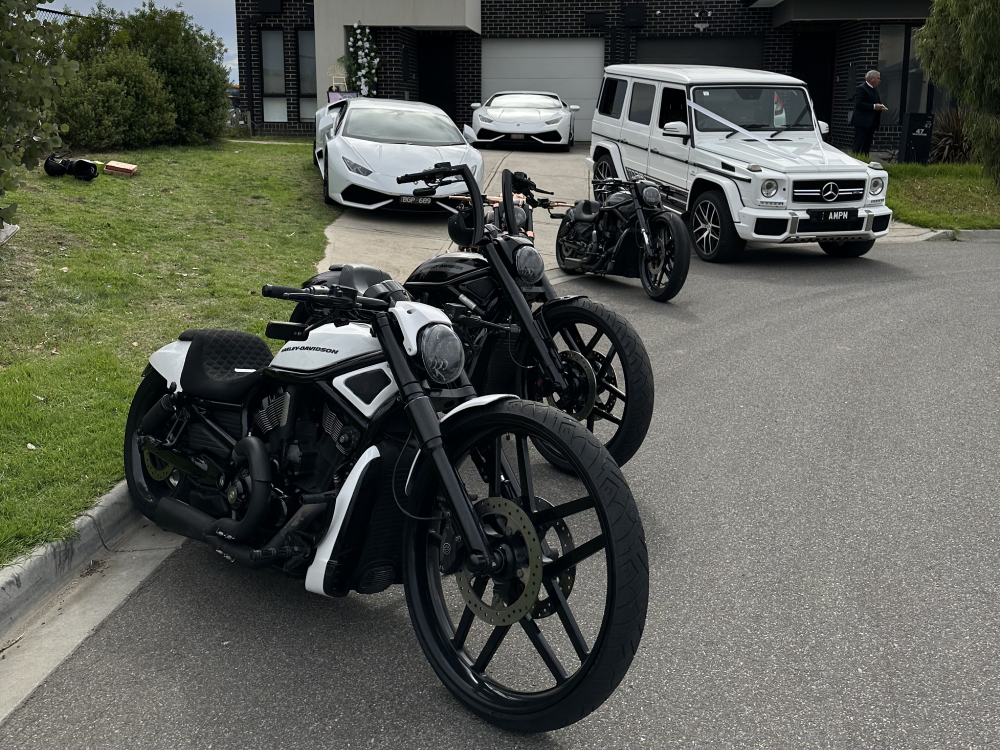 Black and white Harleys parked in a driveway beside white luxury cars